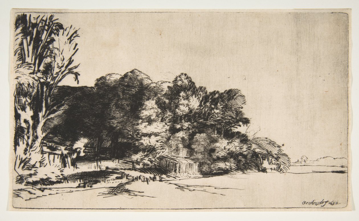 Kępka drzew z Vista, 1652. autorstwa Rembrandt van Rijn