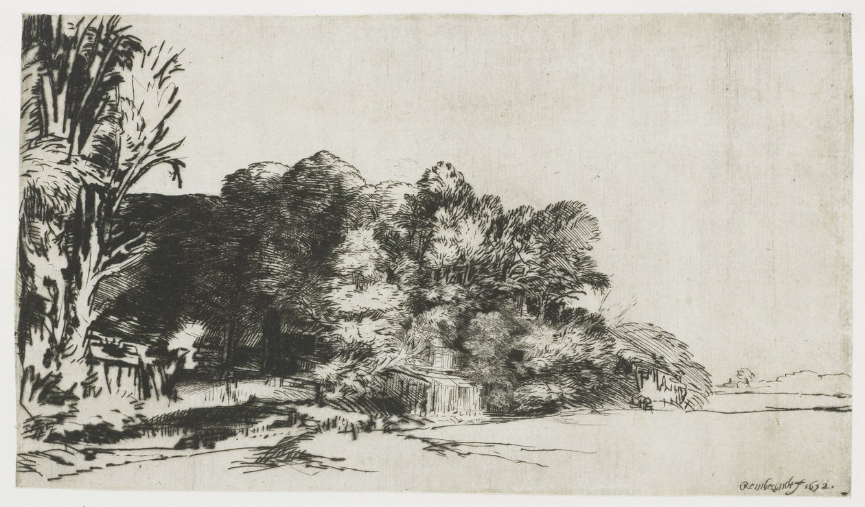 Kępka drzew z widokiem autorstwa Rembrandt van Rijn