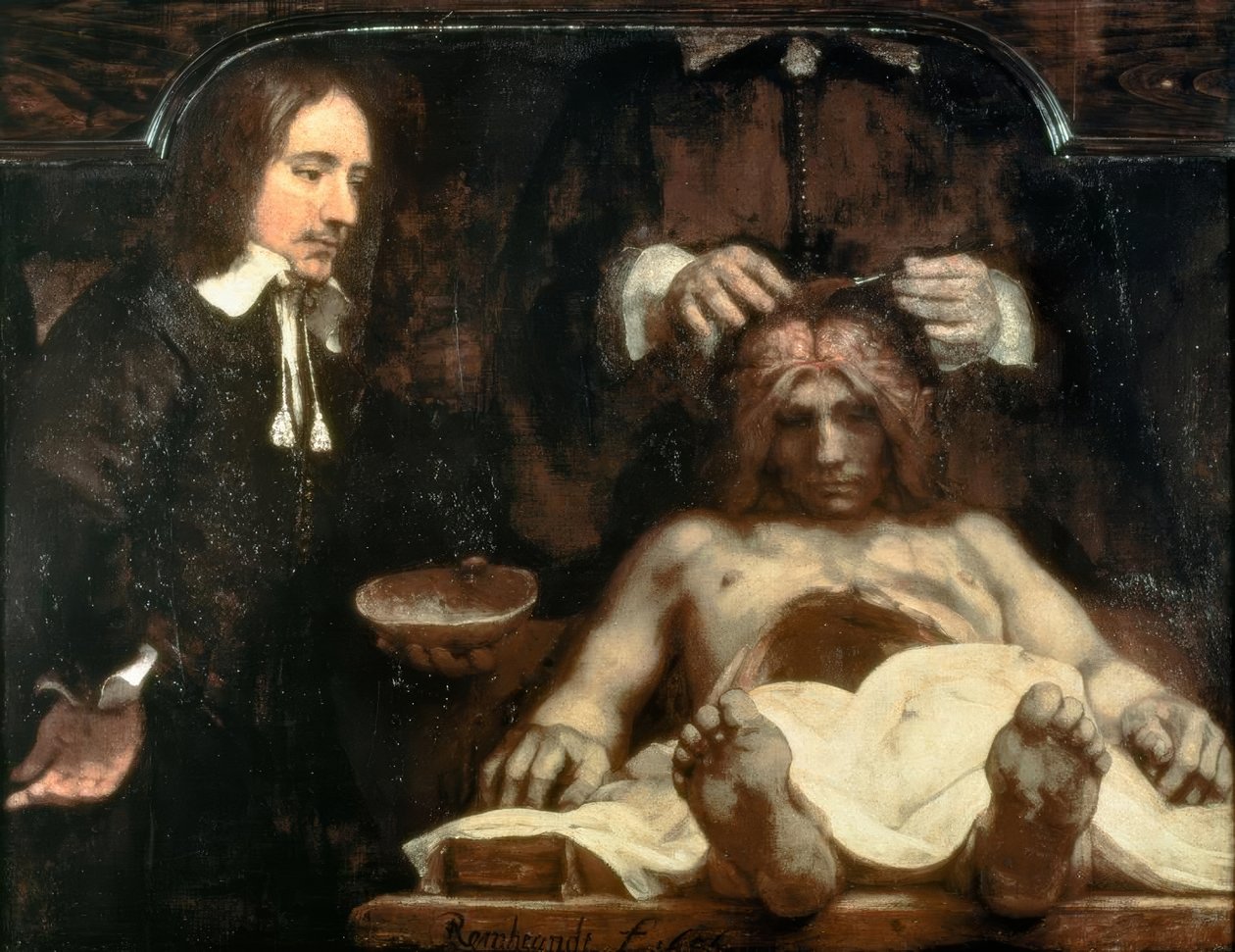 Anatomia dr Johana Deijmana autorstwa Rembrandt van Rijn