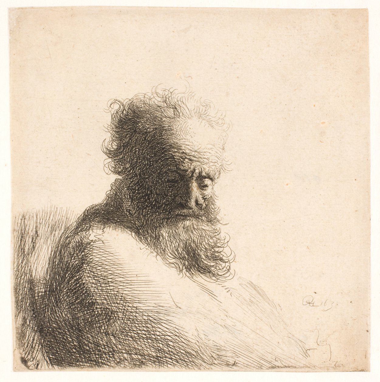 Stary brodaty mężczyzna. Biust autorstwa Rembrandt van Rijn