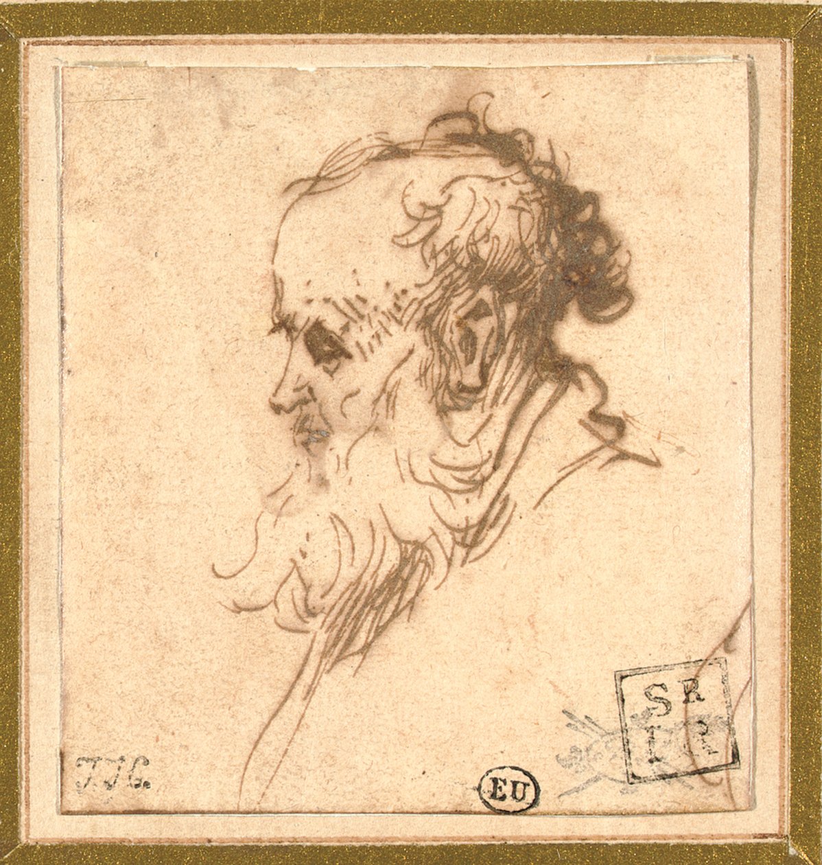 Głowa brodatego mężczyzny z profilu po lewej stronie autorstwa Rembrandt van Rijn
