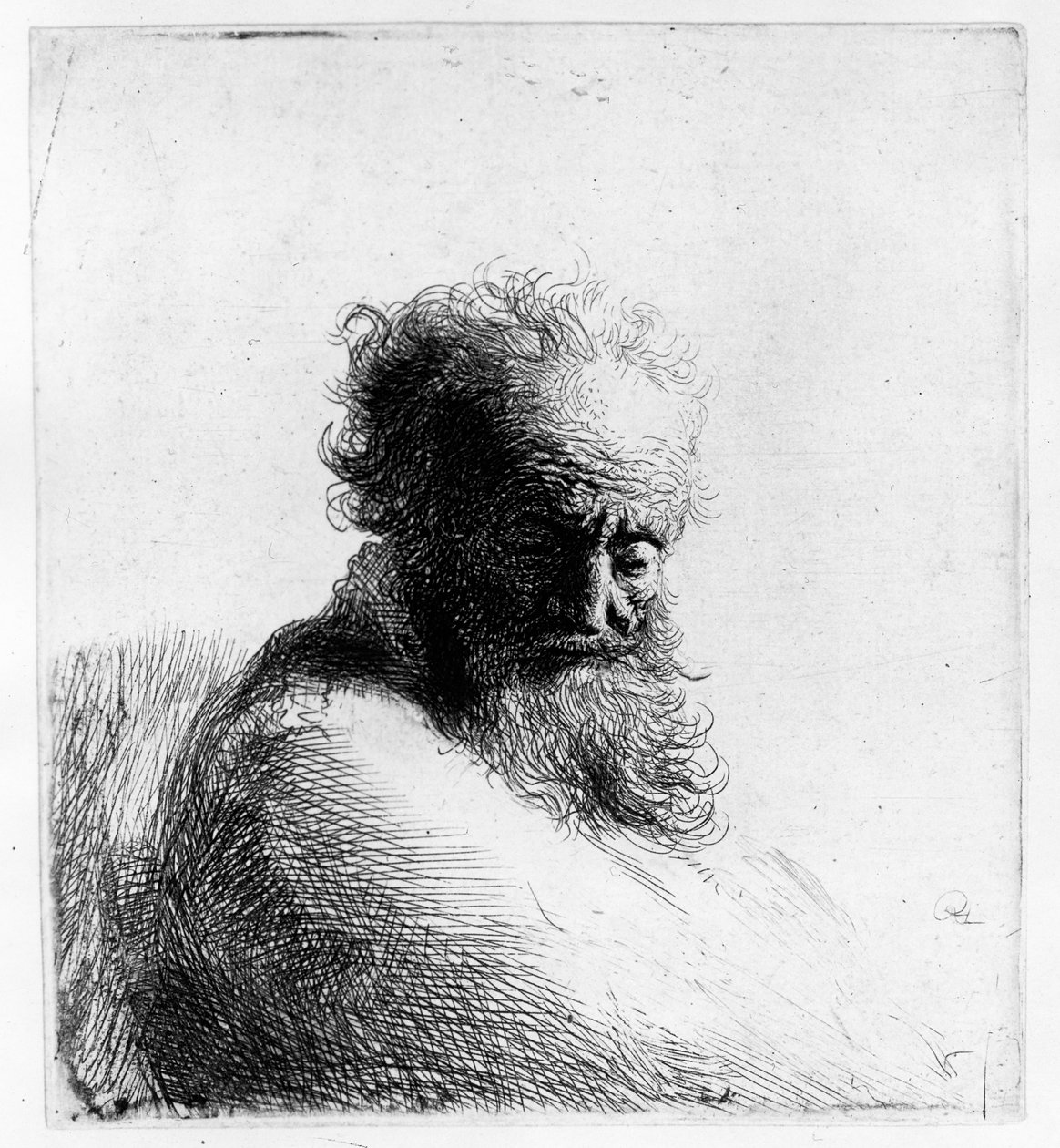 Głowa starego człowieka, 1631 autorstwa Rembrandt van Rijn