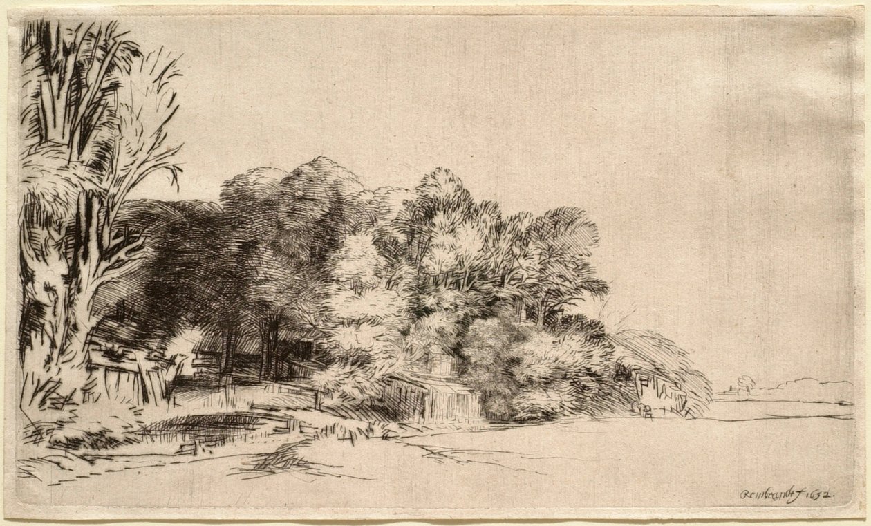 Pejzaż z grupą drzew autorstwa Rembrandt van Rijn