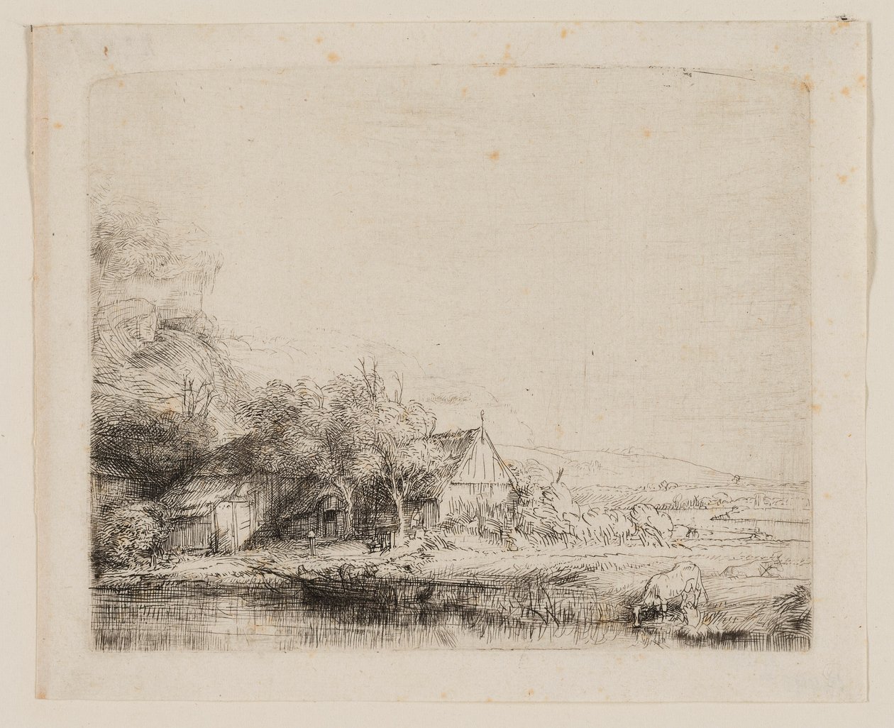 Krajobraz z pijącą krową autorstwa Rembrandt van Rijn