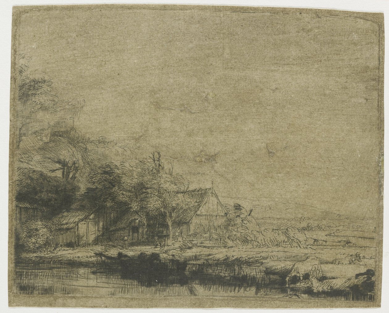 Krajobraz z pijącą krową autorstwa Rembrandt van Rijn