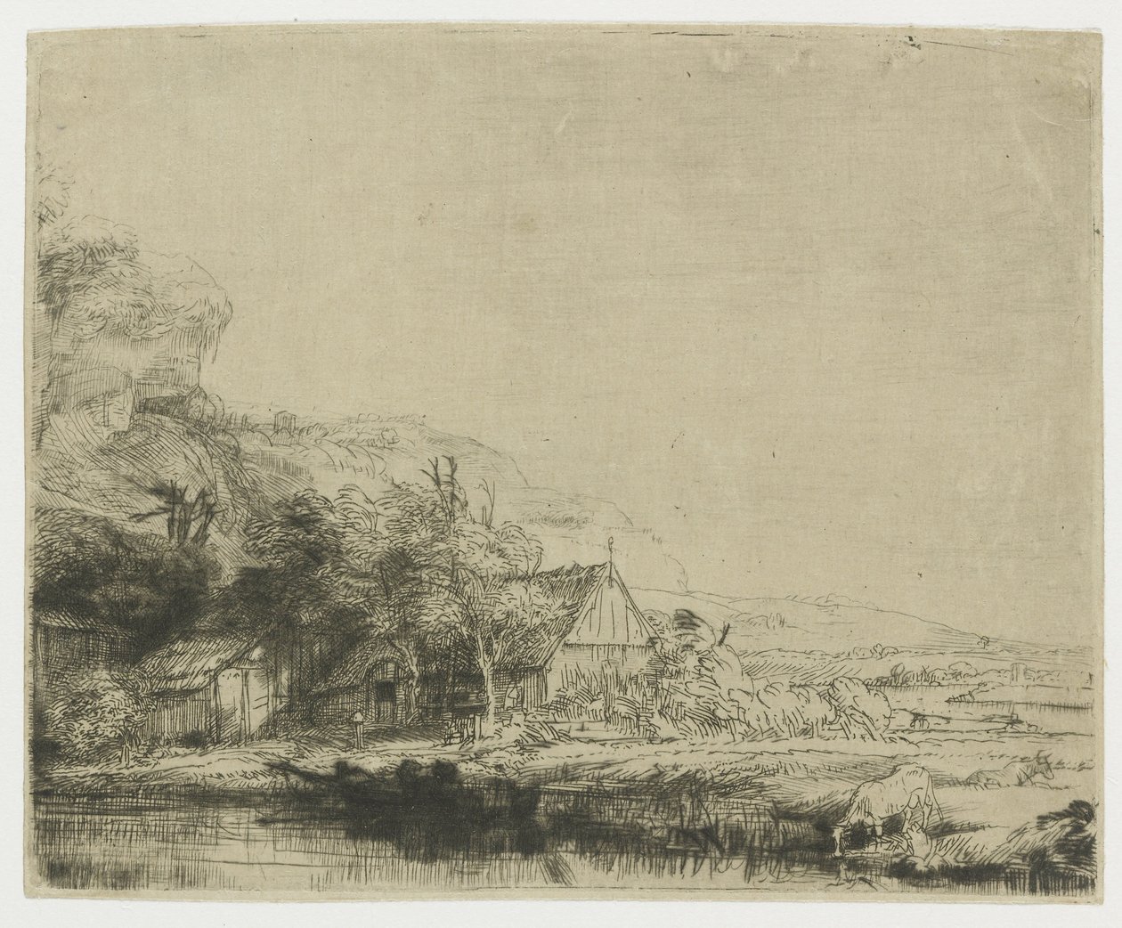 Krajobraz z pijącą krową autorstwa Rembrandt van Rijn