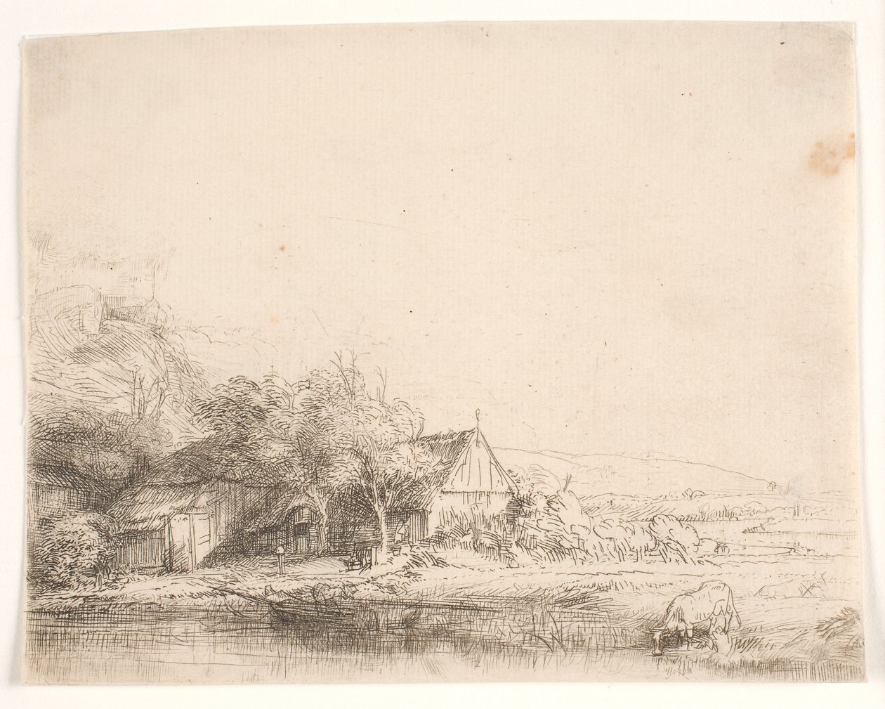 Krajobraz z krową pijąca wodę autorstwa Rembrandt van Rijn