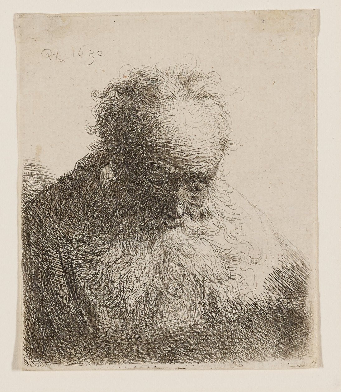 Starzec z bujną brodą (z pochyloną do przodu głową, z nieocienionym lewym ramieniem) autorstwa Rembrandt van Rijn