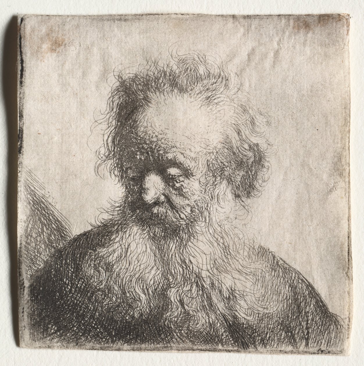 Stary człowiek z rozwianą brodą: biust autorstwa Rembrandt van Rijn