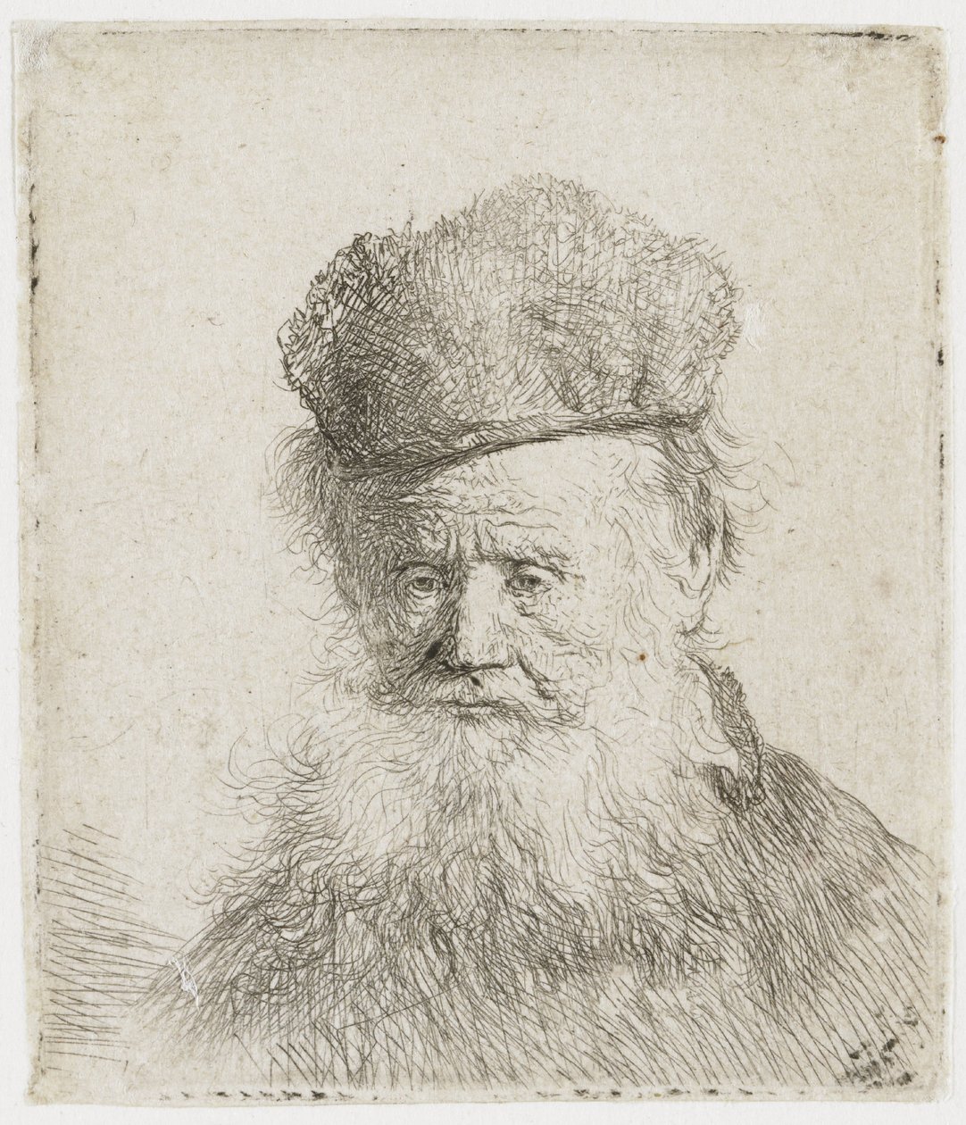Starszy mężczyzna w futrzanej czapce i z długą brodą autorstwa Rembrandt van Rijn