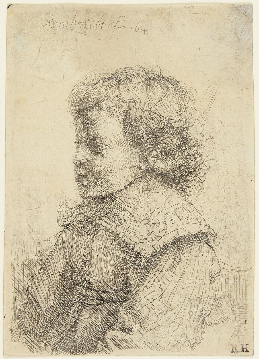 Portret chłopca autorstwa Rembrandt van Rijn