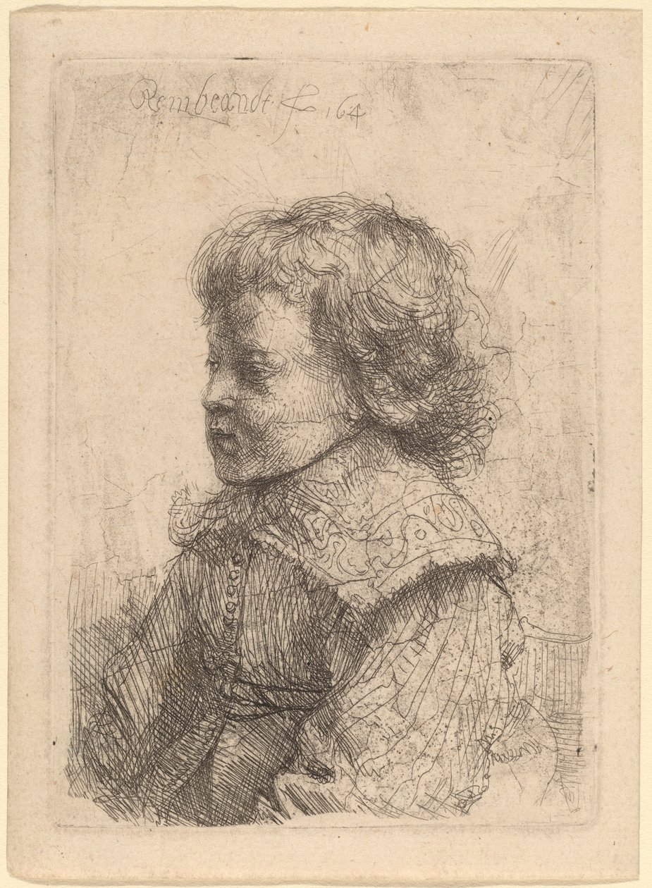 Portret chłopca w profilu autorstwa Rembrandt van Rijn