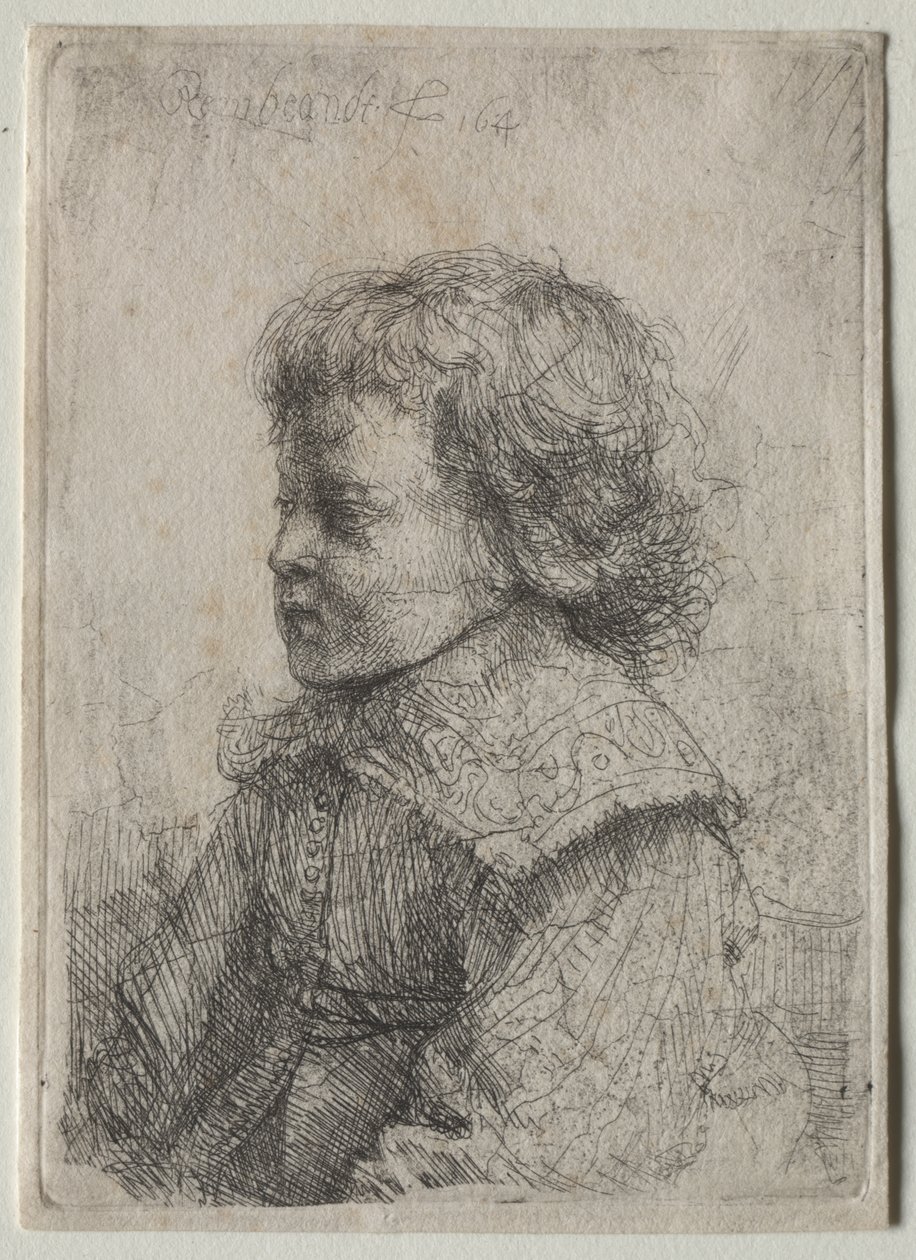 Portret chłopca w profilu autorstwa Rembrandt van Rijn