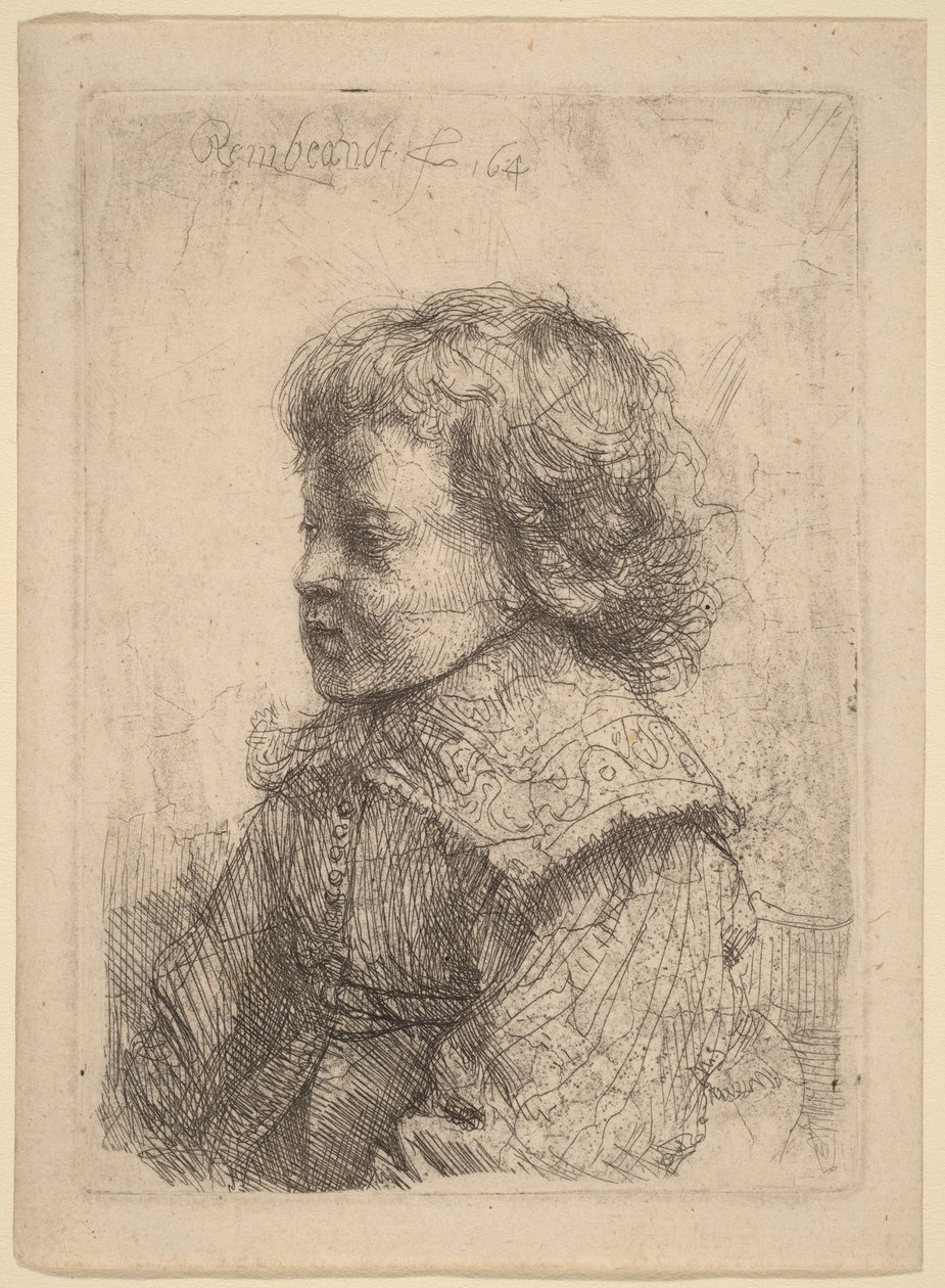Portret chłopca z profilu autorstwa Rembrandt van Rijn
