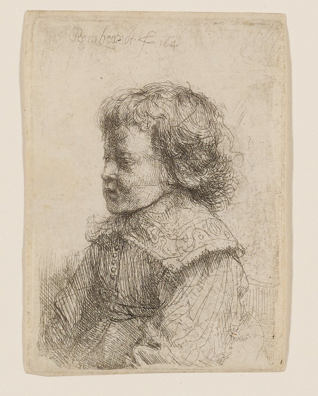 Portret chłopca z profilu autorstwa Rembrandt van Rijn