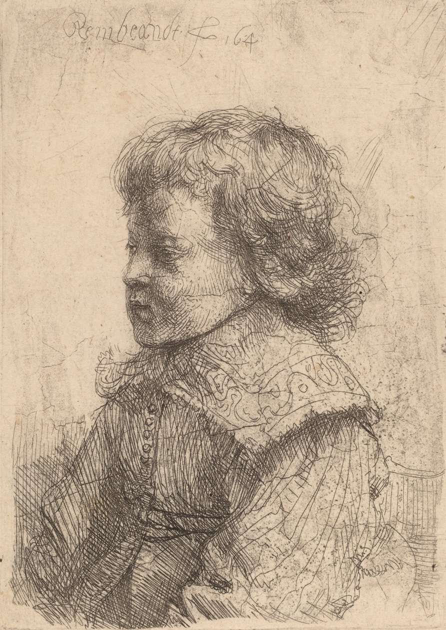 Portret chłopca z profilu, 1641. autorstwa Rembrandt van Rijn