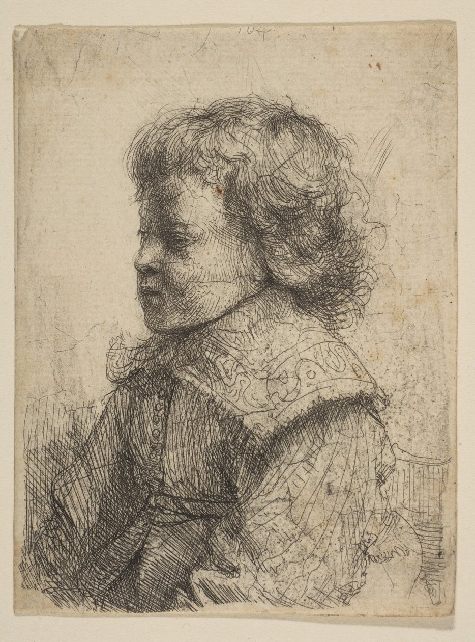 Portret chłopca z profilu, 1641. autorstwa Rembrandt van Rijn