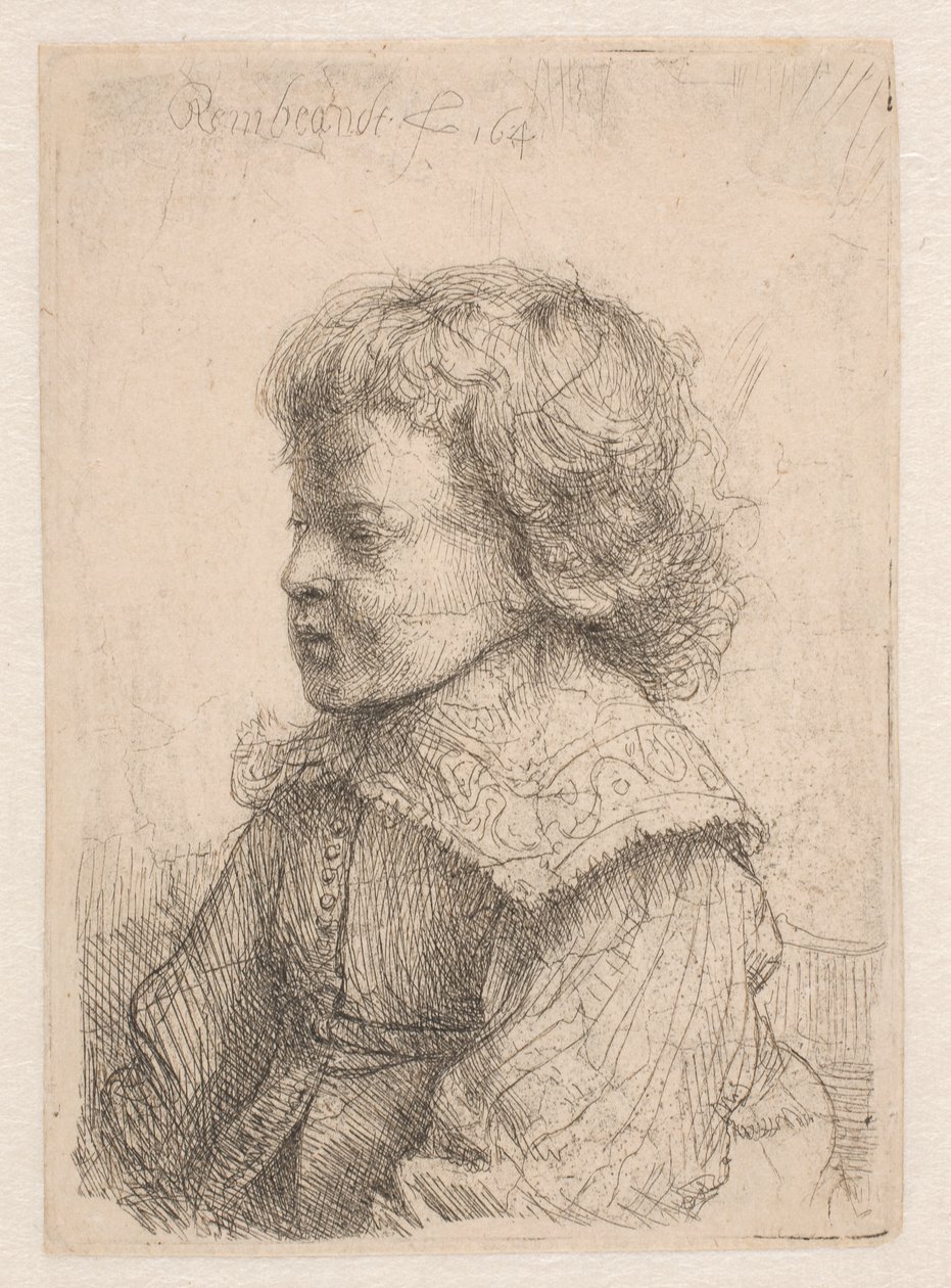 Portret chłopca, w profilu autorstwa Rembrandt van Rijn