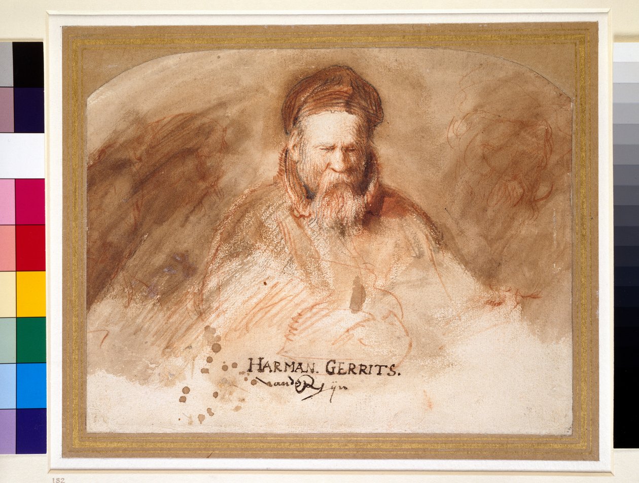 Portret starca, XVII w. (kreda i bistre wash) autorstwa Rembrandt van Rijn