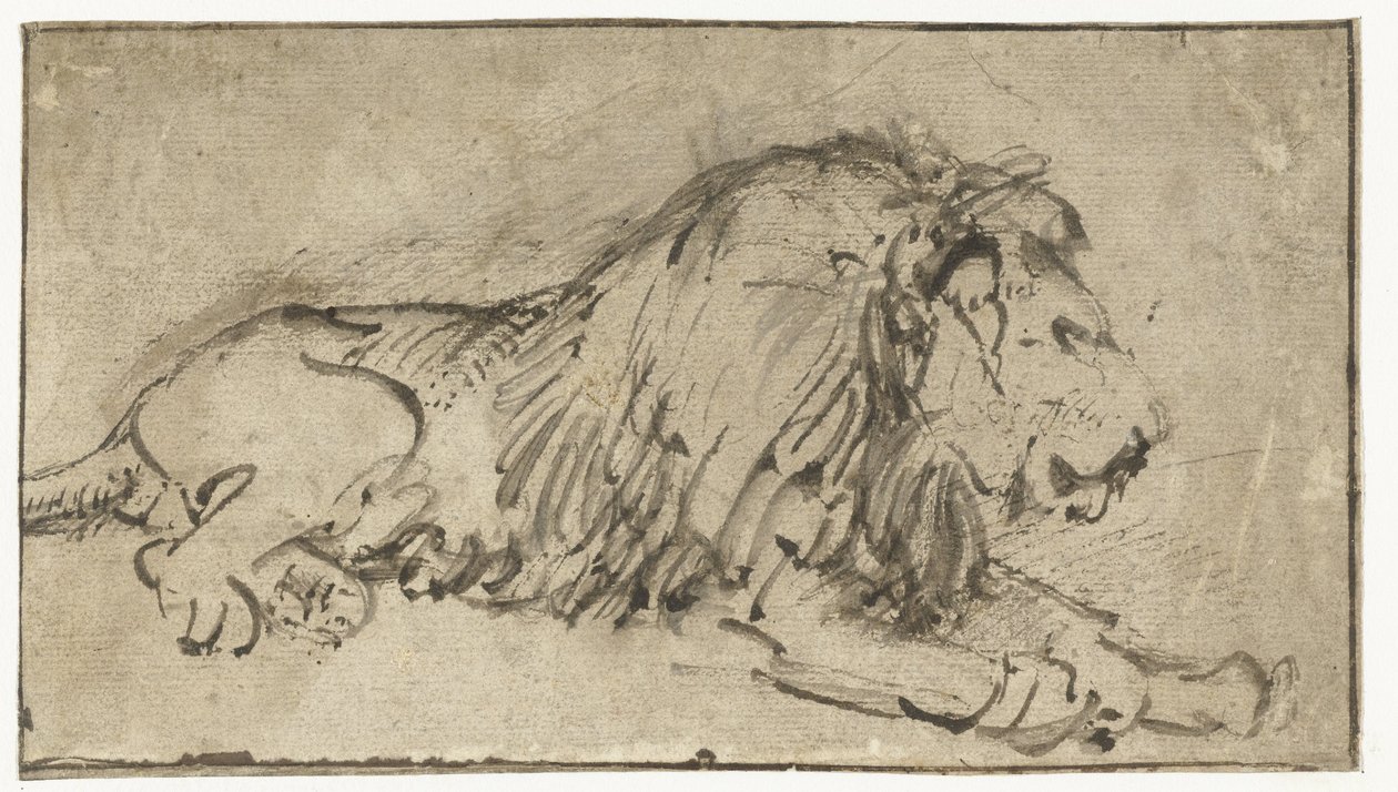 Leżący lew autorstwa Rembrandt van Rijn