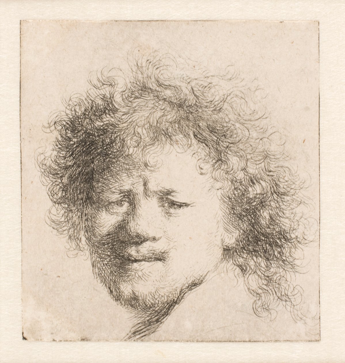 Rembrandt z długimi, gęstymi włosami: tylko głowa autorstwa Rembrandt van Rijn