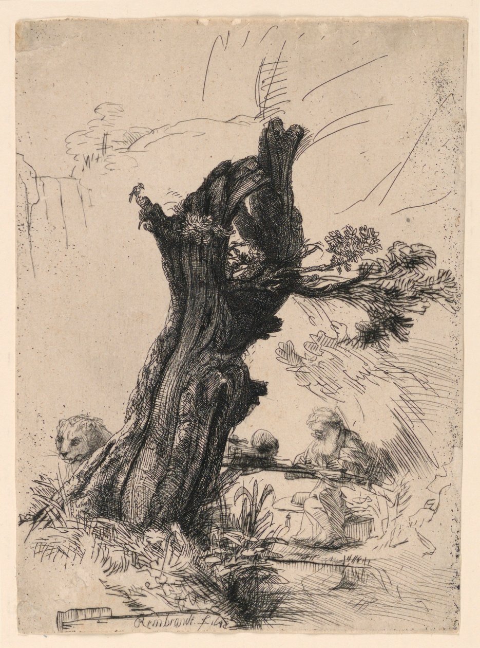 Święty Hieronim obok wierzby Pollard autorstwa Rembrandt van Rijn