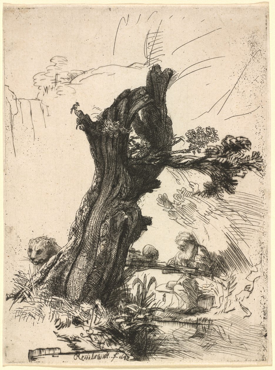 Święty Hieronim obok wierzby Pollard autorstwa Rembrandt van Rijn