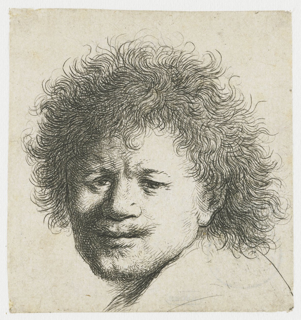 Autoportret z długimi, krzaczastymi włosami: tylko głowa autorstwa Rembrandt van Rijn