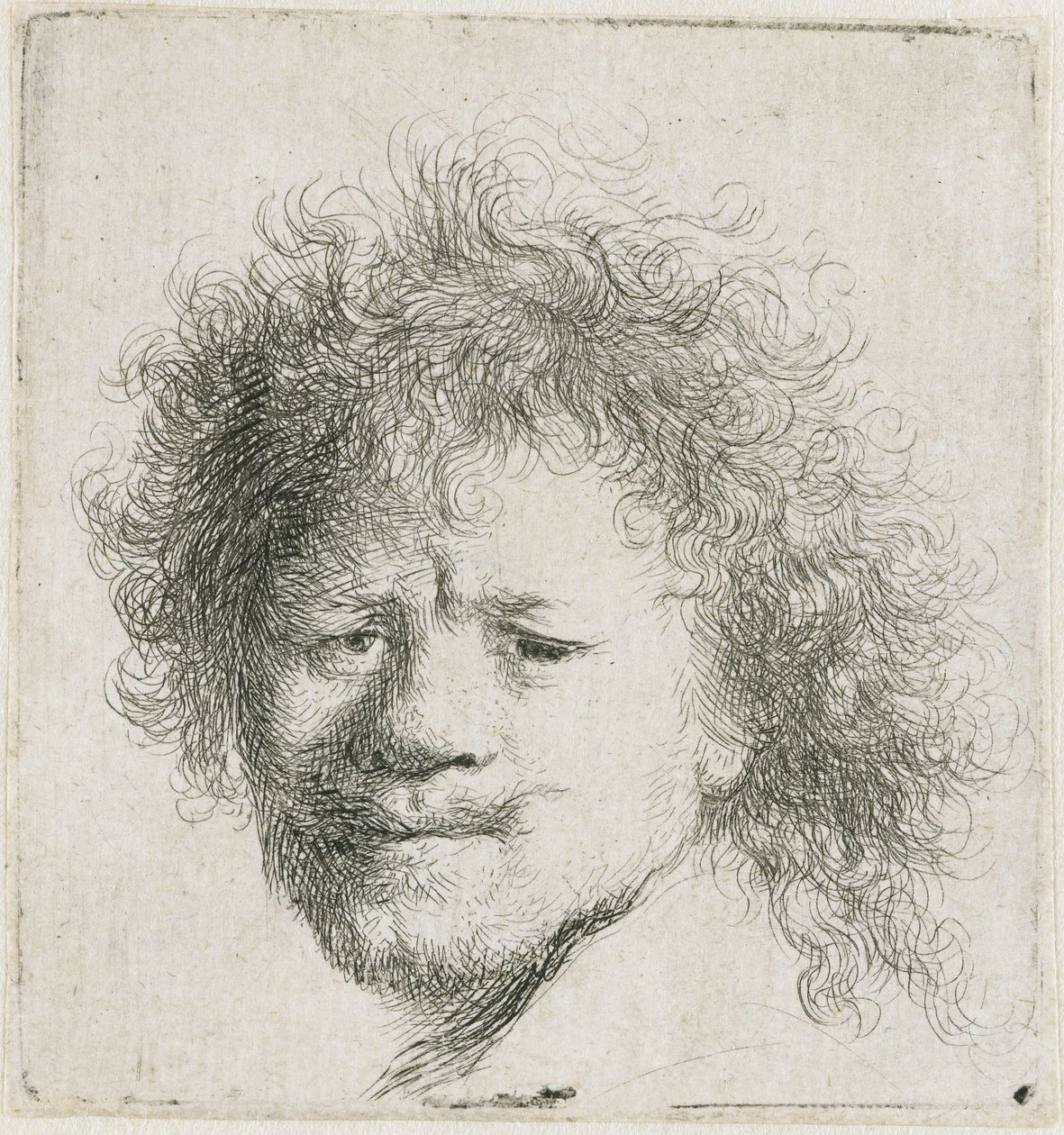 Autoportret z długimi, bujnymi włosami: sama głowa autorstwa Rembrandt van Rijn
