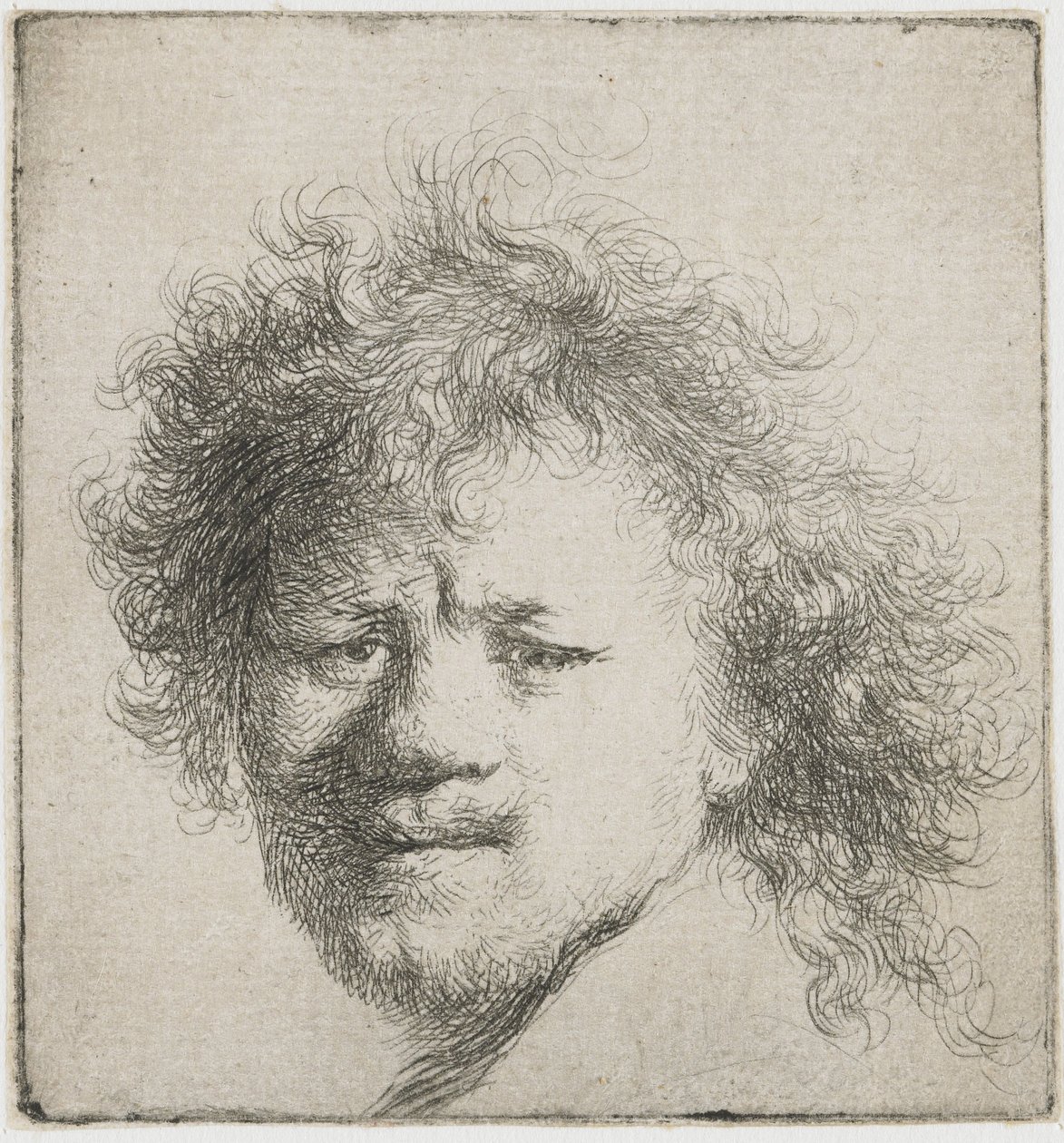 Autoportret z długimi, krzaczastymi włosami: sama głowa, ok. 1631 r. autorstwa Rembrandt van Rijn