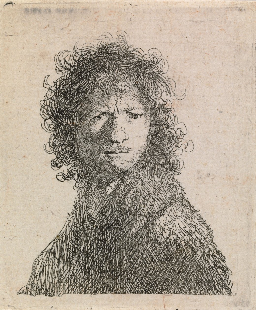 Autoportret, zmarszczone brwi autorstwa Rembrandt van Rijn
