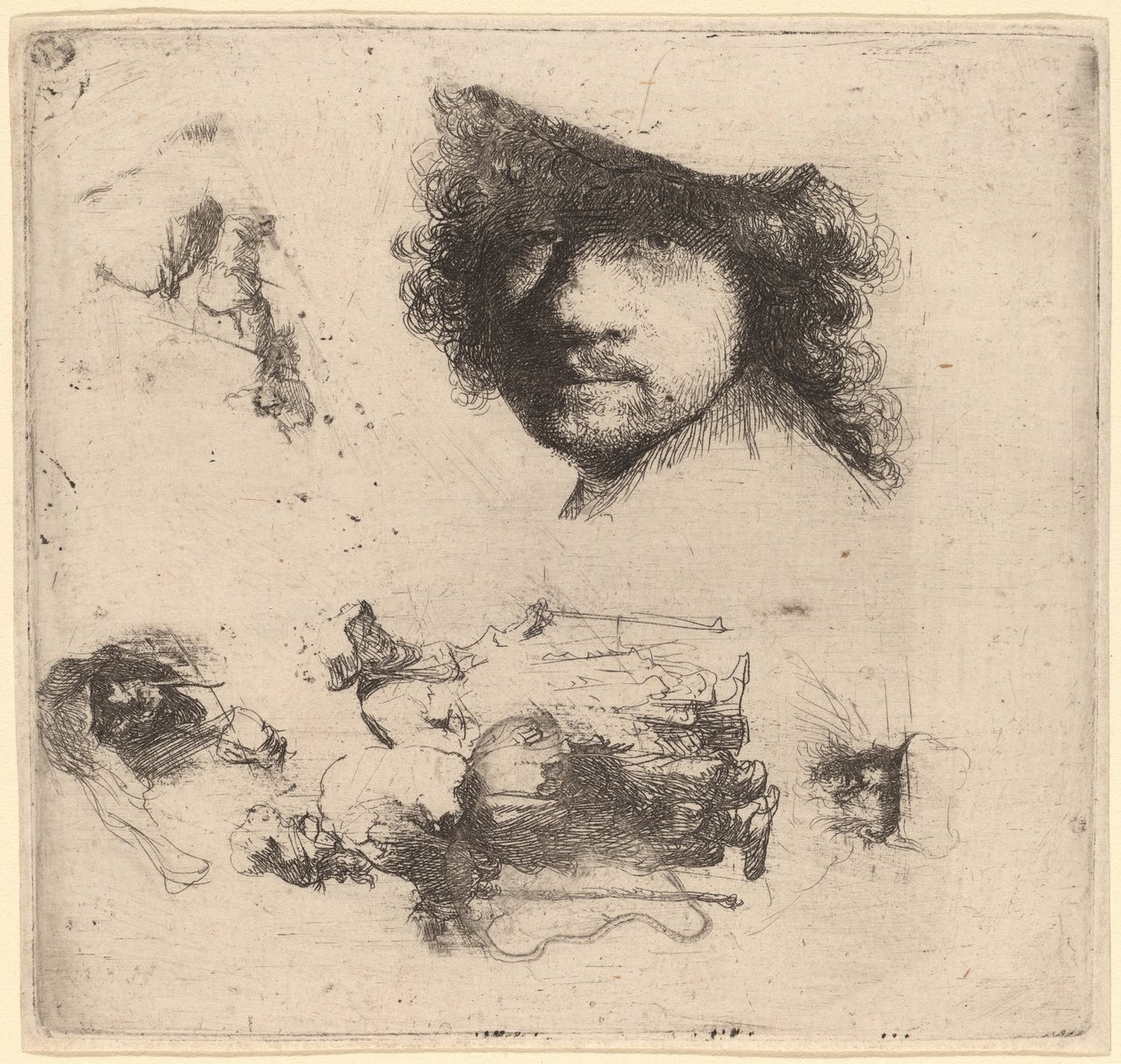 Arkusz studiów zawierający Głowę Artysty, Parę Żebraczą, Głowy Starca i Staruszkę autorstwa Rembrandt van Rijn