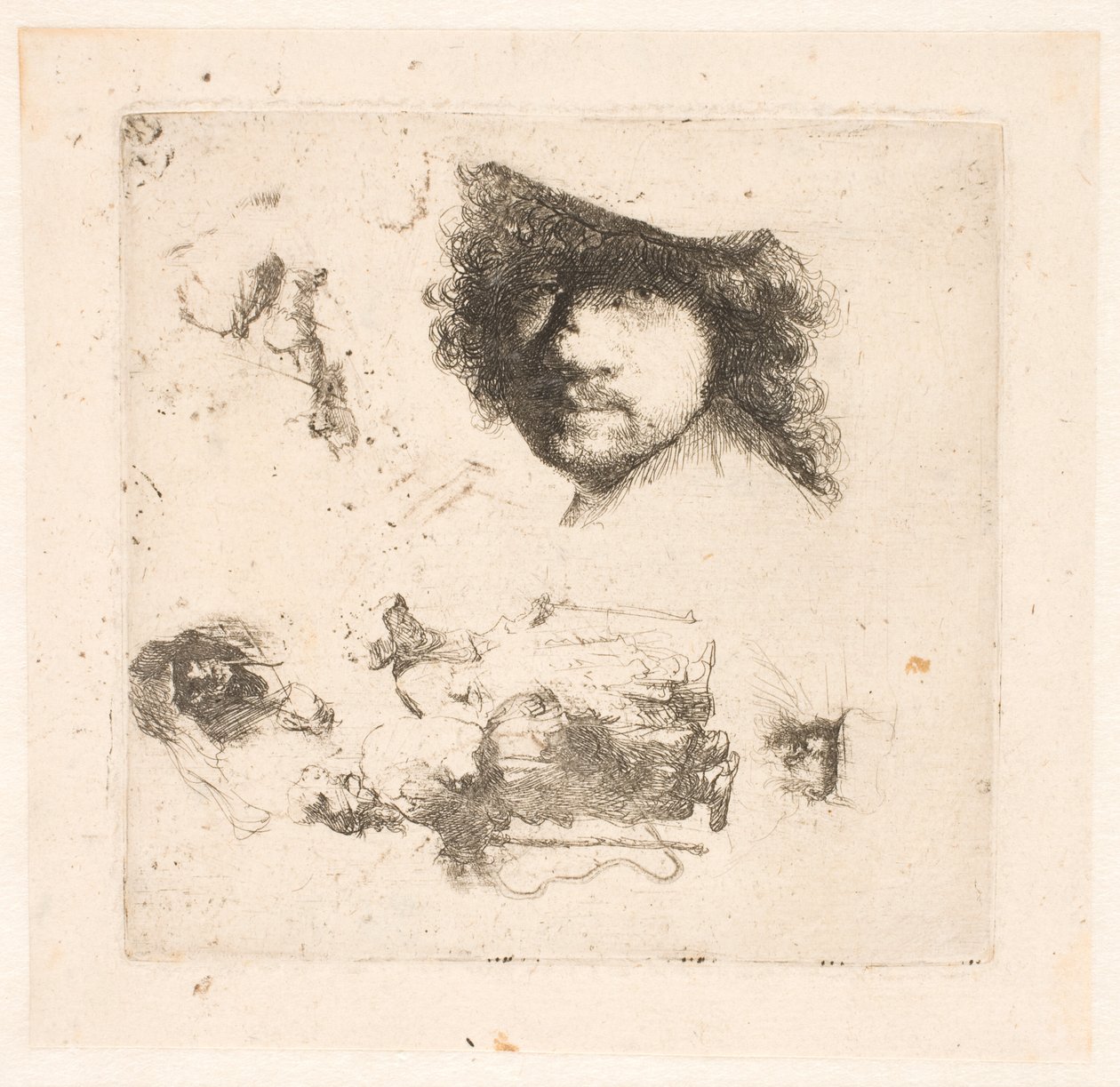 Arkusz studiów: głowa Rembrandta, para żebraków, głowy starca i staruszki itp. autorstwa Rembrandt van Rijn