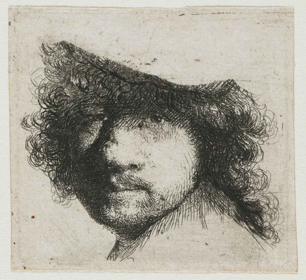 Arkusz studiów: kierownik artysty autorstwa Rembrandt van Rijn