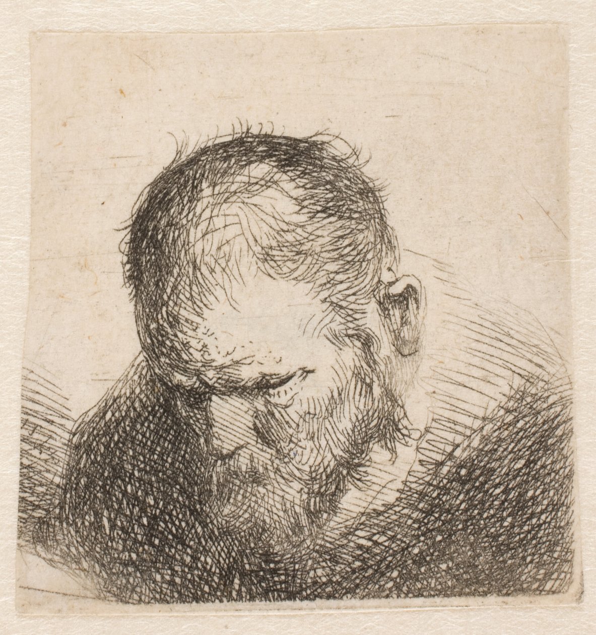 Małe popiersie brodatego mężczyzny spoglądającego w dół, z niemal zamkniętymi oczami autorstwa Rembrandt van Rijn