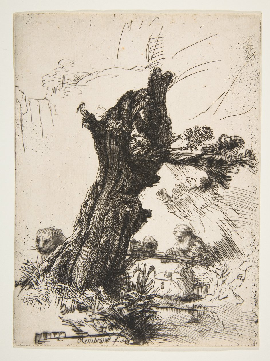Św. Jerome obok wierzby Pollard, 1648. autorstwa Rembrandt van Rijn