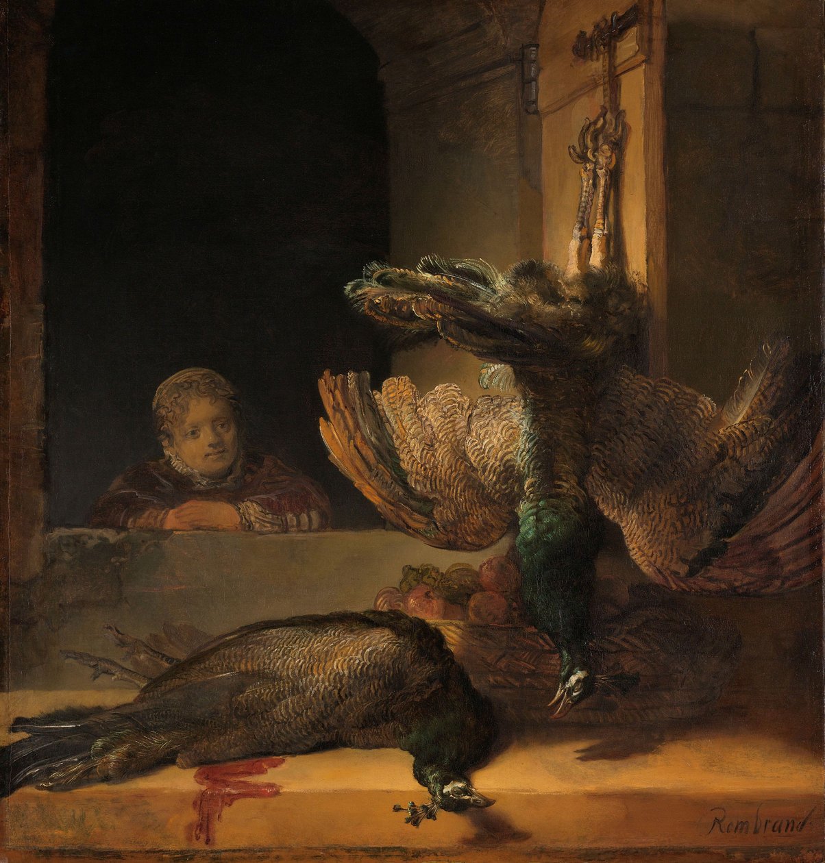 Martwa natura z pawiami, ok. 1639 autorstwa Rembrandt van Rijn
