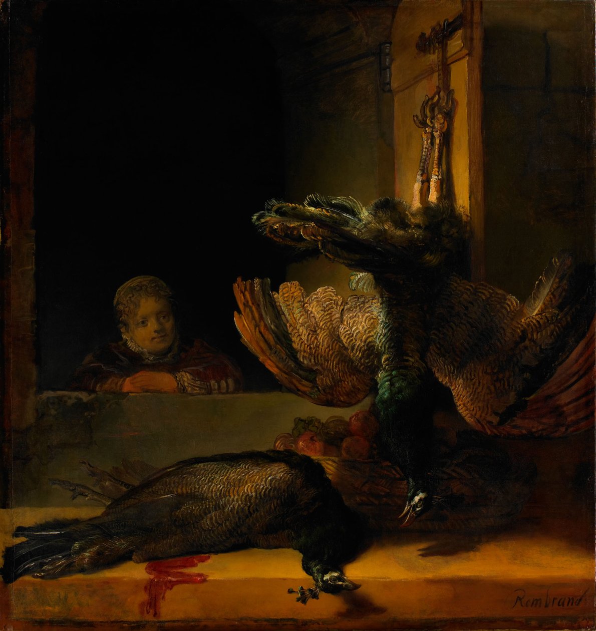 Martwa natura z dwoma pawiami i dziewczyną, ok. 1639 autorstwa Rembrandt van Rijn