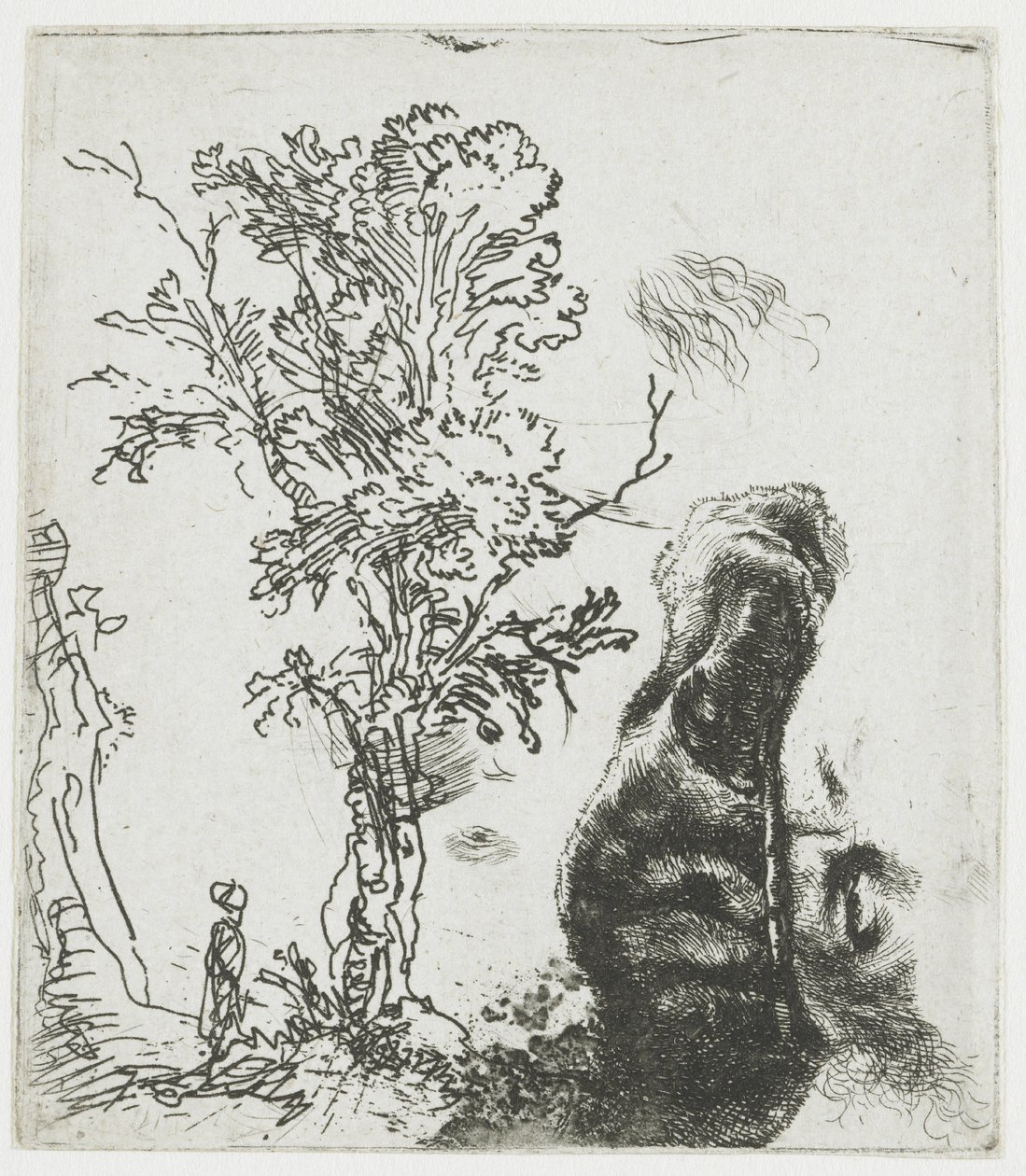 Rysunek przedstawiający drzewo oraz górną część głowy Rembrandta w beretce autorstwa Rembrandt van Rijn