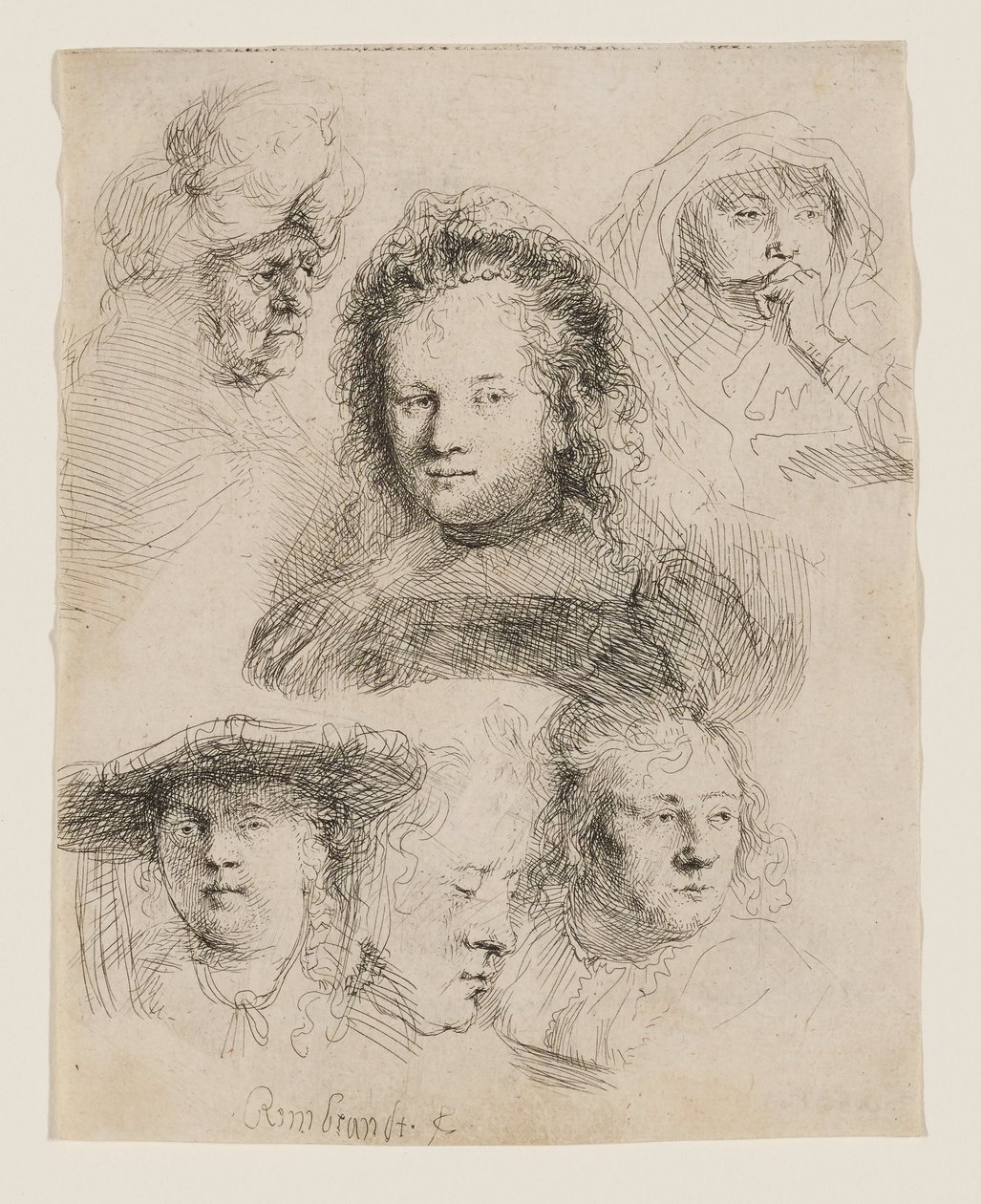 Studium głowy Saskii i inne prace autorstwa Rembrandt van Rijn