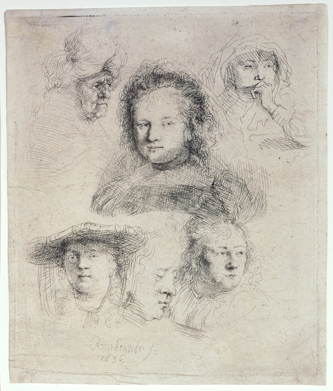 Studium głowy Saskia i inne prace autorstwa Rembrandt van Rijn