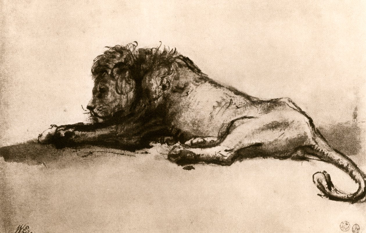 Studium lwa, 1913. autorstwa Rembrandt van Rijn