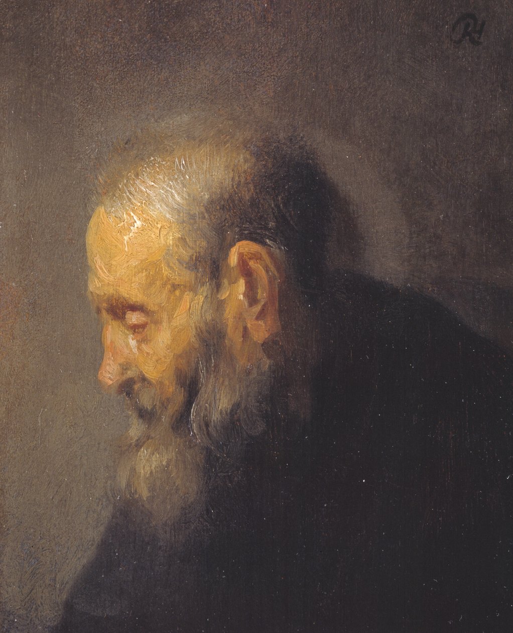 Studium starego człowieka z profilu autorstwa Rembrandt van Rijn