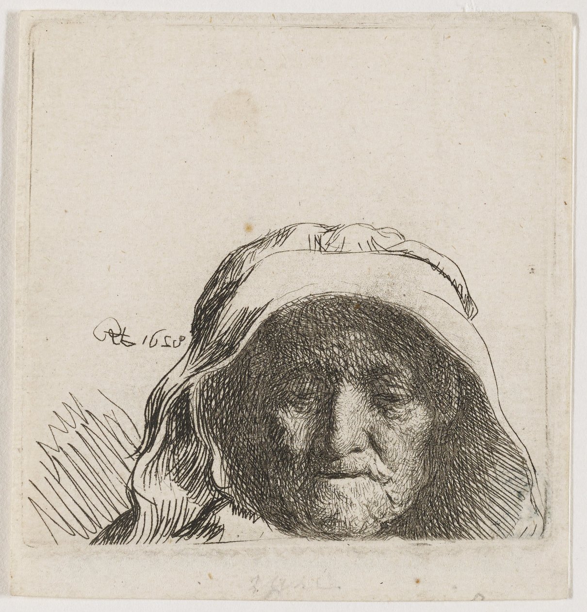 Matka artysty: tylko głowa, profil z przodu autorstwa Rembrandt van Rijn