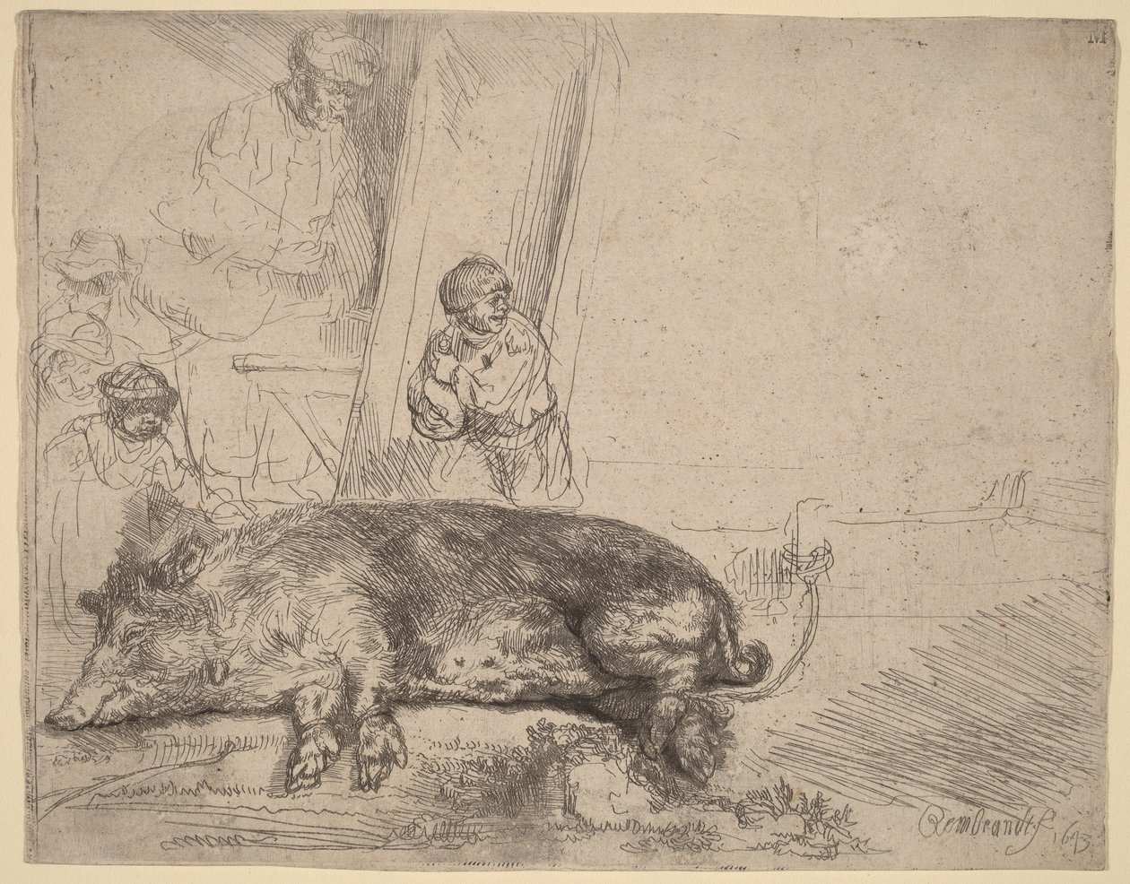 Hog autorstwa Rembrandt van Rijn
