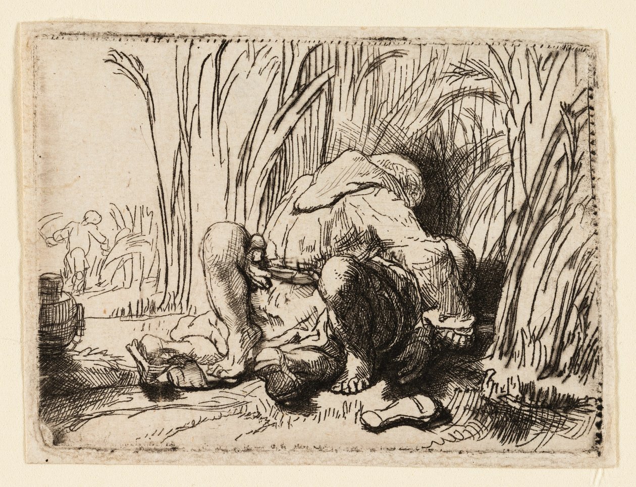 Mnich na polu kukurydzy autorstwa Rembrandt van Rijn