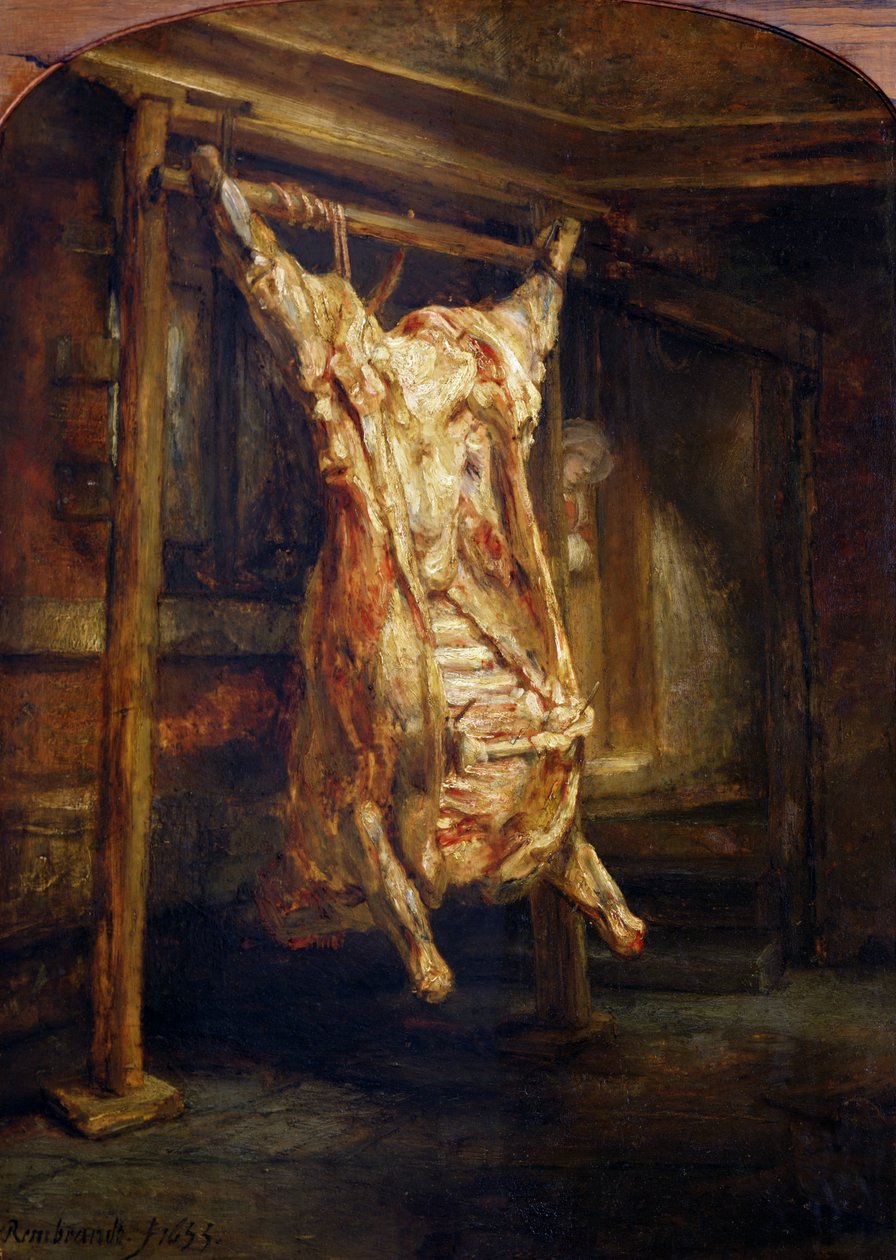Zabity wół, 1655 autorstwa Rembrandt van Rijn