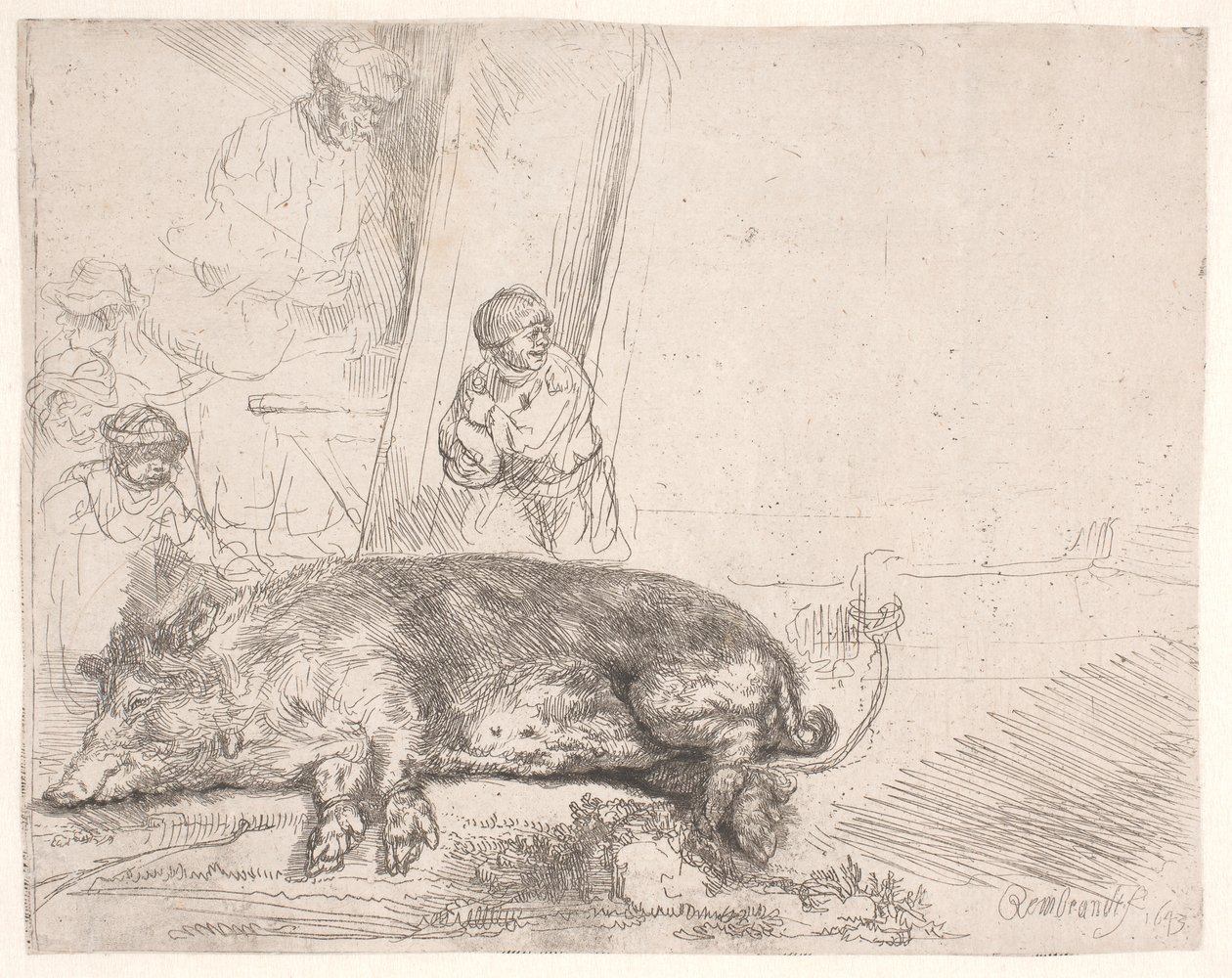 Świnia autorstwa Rembrandt van Rijn