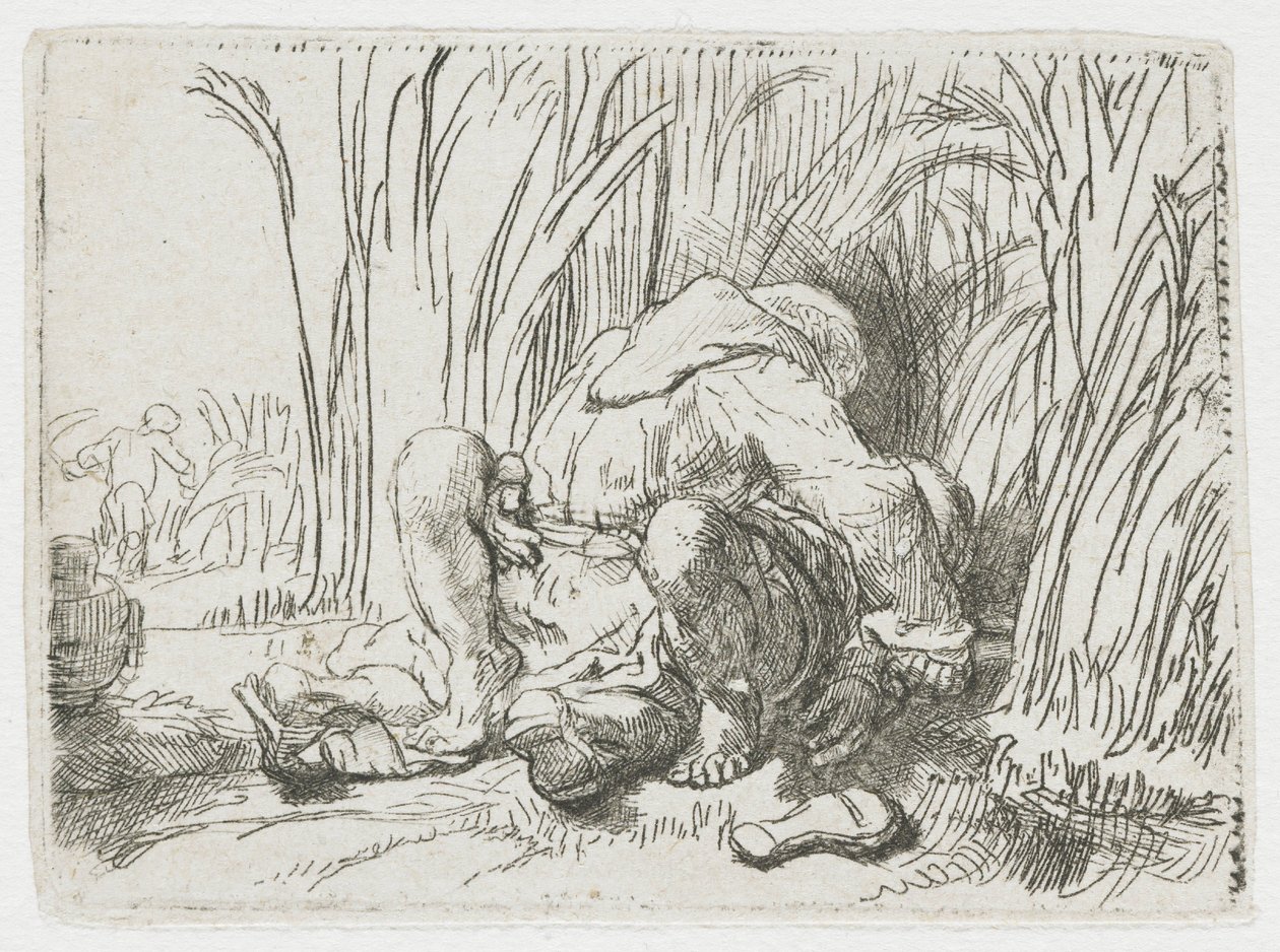 Mnich na polu kukurydzy autorstwa Rembrandt van Rijn