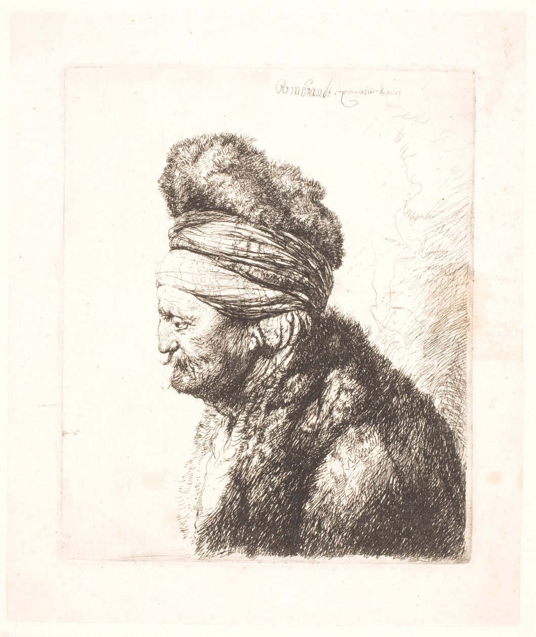 Druga głowa orientalna (ojciec Rembrandta?) autorstwa Rembrandt van Rijn